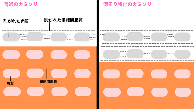 深ぞりカミソリとバリア機能