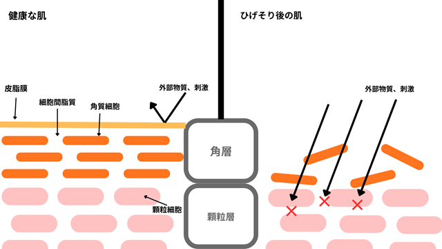 ひげそり後とバリア機能